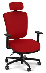 Ergonomic Chair with Lumbar Support and Headrest