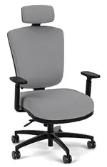 Ergonomic Chair with Lumbar Support and Headrest