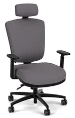 Ergonomic Chair with Lumbar Support and Headrest