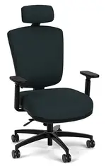 Ergonomic Chair with Lumbar Support and Headrest