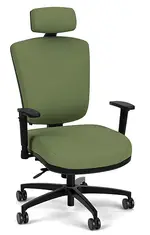 Ergonomic Chair with Lumbar Support and Headrest