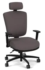Ergonomic Chair with Lumbar Support and Headrest