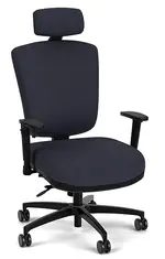 Ergonomic Chair with Lumbar Support and Headrest