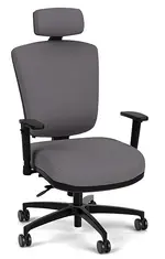 Ergonomic Chair with Lumbar Support and Headrest