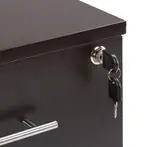 2 Drawer Mobile Pedestal