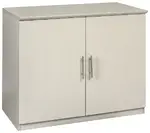 Small Storage Cabinet