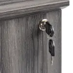 2 Drawer Lateral File Cabinet