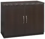 Storage Cabinet with Doors