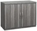 Storage Cabinet with Doors