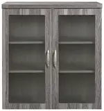 Storage Cabinet with Doors