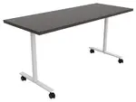 Training Table with Wheels