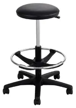 Lab Stool with Wheels