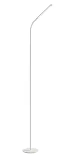 Gooseneck Floor Lamp