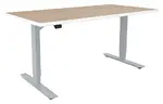 Rectangular Sit-Stand Desk
