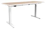 Electric Sit Stand Desk