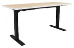Electric Sit Stand Desk