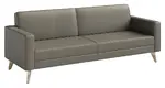 Vinyl Sofa