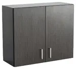Wall Cabinet with Doors