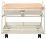 Rolling Printer Stand