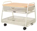 Rolling Printer Stand