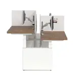 4 Person Height Adjustable Desk with Privacy Panels