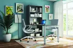 Desk and Bookcase Combo