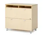 2 Drawer Lateral File Cabinet