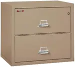 2 Drawer Fireproof Lateral File Cabinet - 31 Inch