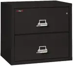 2 Drawer Fireproof Lateral File Cabinet - 31 Inch