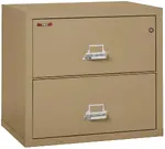 2 Drawer Fireproof Lateral File Cabinet - 31 Inch