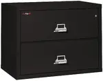 2 Drawer Fireproof Lateral File Cabinet - 38 Inch