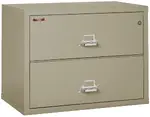 2 Drawer Fireproof Lateral File Cabinet - 38 Inch