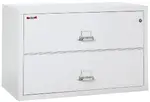 2 Drawer Fireproof Lateral File Cabinet - 44 Inch