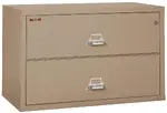 2 Drawer Fireproof Lateral File Cabinet - 44 Inch