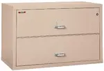 2 Drawer Fireproof Lateral File Cabinet - 44 Inch