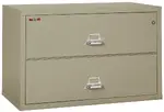 2 Drawer Fireproof Lateral File Cabinet - 44 Inch