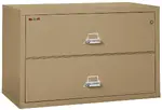 2 Drawer Fireproof Lateral File Cabinet - 44 Inch