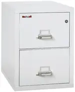 2 Drawer Fireproof File Cabinet - Legal Size