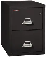 2 Drawer Fireproof File Cabinet - Legal Size