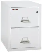 2 Drawer Fireproof File Cabinet - Letter Size