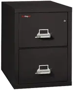2 Drawer Fireproof File Cabinet - Letter Size