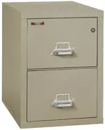 2 Drawer Fireproof File Cabinet - Letter Size