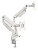 Two Monitor Desk Mount