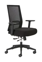 Mesh Back Office Chair with Lumbar Support