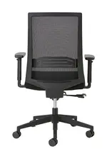 Mesh Back Office Chair with Lumbar Support