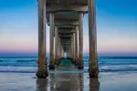 Scripps Pier Low Tide Horizontal - Office Wall Art