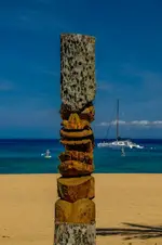 Hawaiian Totem - Office Wall Art