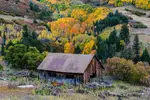 Yard Sale Landscape - Office Wall Art