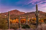 Rancho Manana Aglow - Office Wall Art