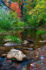 Oak Creek Crossing - Office Wall Art